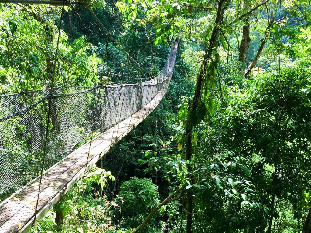 Monteverde cloud forest hanging bridges and aerial tram
